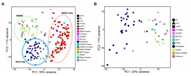 갑상선암 검사체에 대한 전사체를 사용한 PCA 분석 결과. A) K-means clustering via PCA을 통한 분자적 아형 결정. B) 갑상선 여포암 (FTC)과 여포선종 (FA)을 사용한 PCA 분석 결과