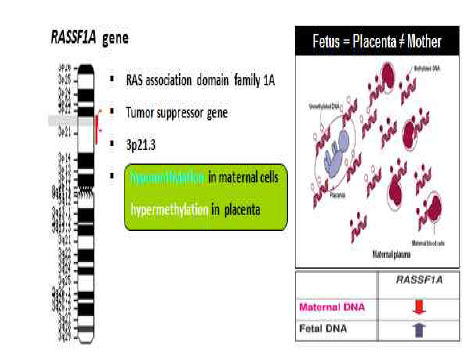 태아 특이적 후성학적 바이오마커인 RASSF1A 유전자