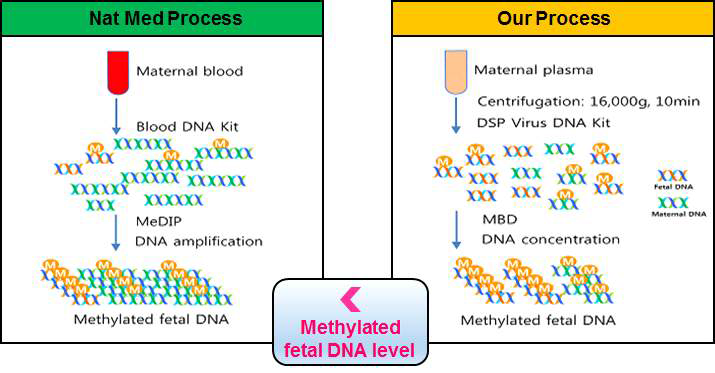 MeDIP과 MBD를 이용한 세포 유리 메틸 DNA 추출법 비교