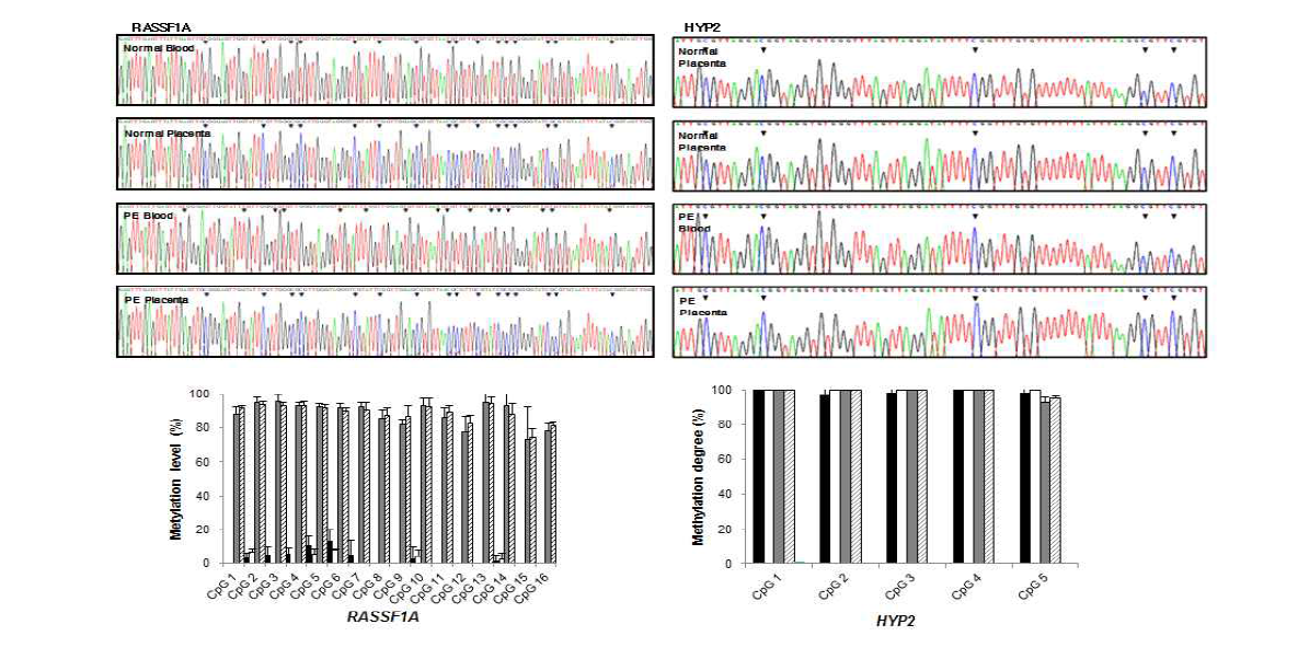 RASSF1A, HYP2 유전자의 Bisulfite converted sequencing 확인 및 CpG 부위 별 메틸화 정도 확인
