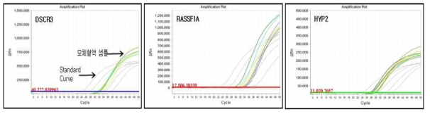 임신부 혈장 내 DSCR3, RASSF1A, HYP2 유전자 메틸화 서열 검출