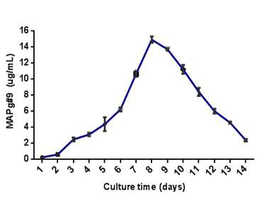 MAPg9 식물세포 현탁배양의 시간별 ELISA를 이용한 생산량 확인