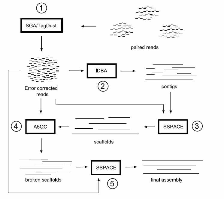 Overview of the stages in A5