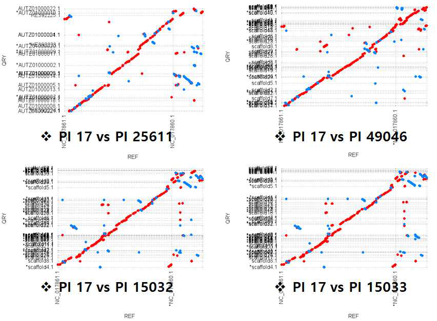 Genomic comparisons among 17, ATCC 25611, 49046, 15032, 15033