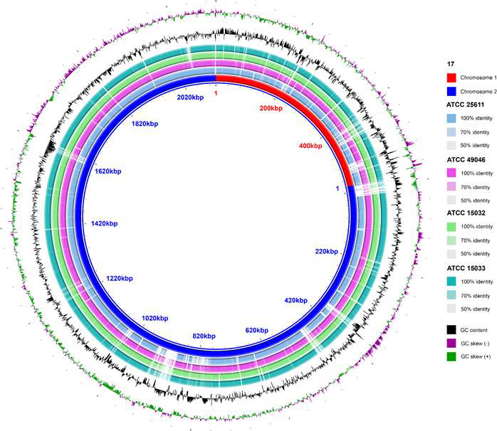 Genome sequence similarity comparisons of five strains