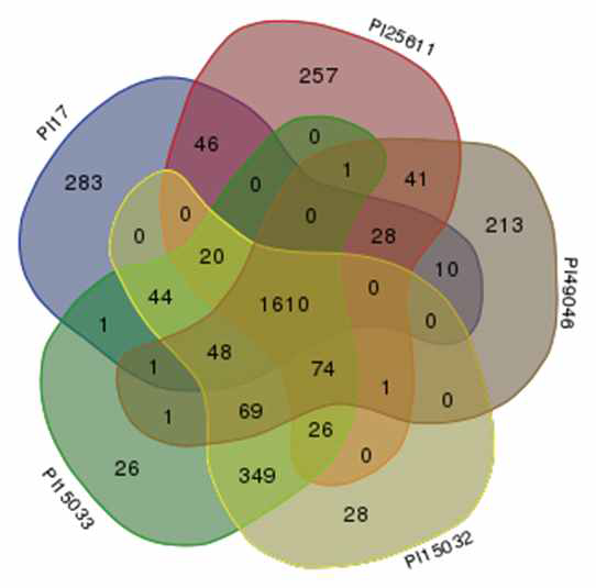 Venn-diagram of orthlogs gene clusters in five P. intermedia strains