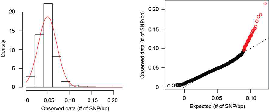 Statistics of SNP distribution in P. intermedia core genes