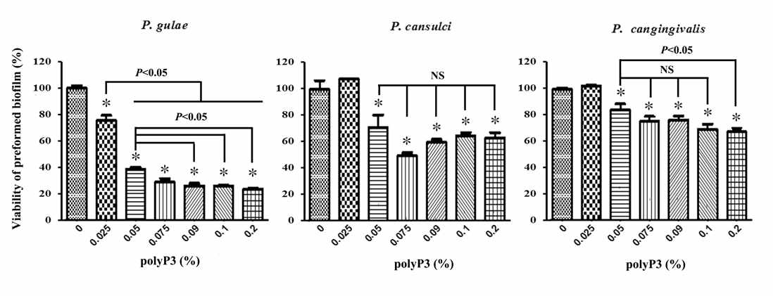 Antibacterial effect of polyP3 against pre-established biofilms