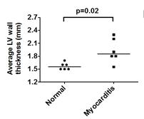 좌심실의 두께는 심근염 렛드에서 유의하게 증가함