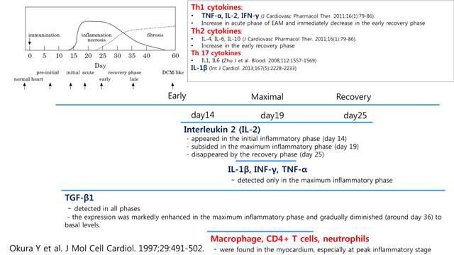 심근염 렛드의 시간별 염증 마커의 변화양상