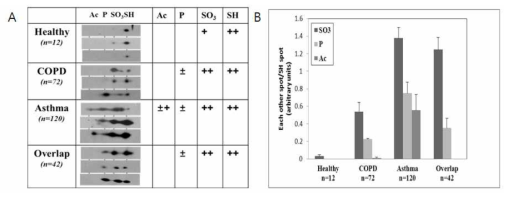 정상군과 환자군의 PRDX6의 post-translational modification 차이비교.(A) serum에서 분리한 PBMC에서 2D-PAGE와 Western analysis방법으로 PRDX6 발현패턴 확인 (B) 수식된 PRDX6의 통계처리