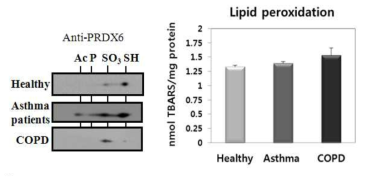 정상군과 환자군의 PBMC에서 과산화정도 확인. serum에서 분리한 PBMC에서 2D-PAGE와 Western analysis방법으로 PRDX6발현 패턴 확인, PBMC lysate에 TBARS를 이용해 lipid peroxidation을 수행