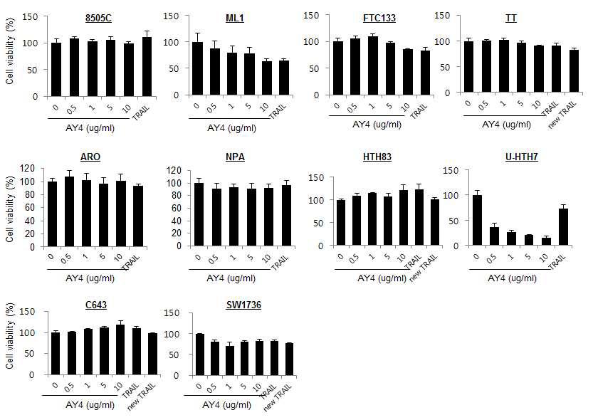 여러 갑상선 암세포주에서 AY4 의 세포사멸 능 평가. AY4를 24시간 처리한 후 MTT 분석을 통해 세포사멸 능을 조사