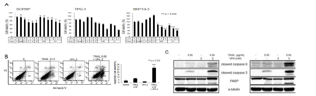 (A) TRAIL과 VPA 병합처리의 세포사멸 능 평가. 갑성선 암세포주인 BCPAP, TPC1, BHP10-3 에서 TRAIL 0.05, 0.1ug/ml, VPA 1, 2, 5 mM를 24시간 처리한 후 MTT 분석을 통해 세포사멸 능을 조사 (B) BHP10-3 세포주에서 TRAIL과 VPA 병합처리후 세포사멸을 Annexin-V-PI 염색하여 측정. (C) BHP10-3 세포주에 TRAIL과 VPA를 24시간 병합처리 후 항-caspase 8, caspase 3, PARP 항체를 이용하여 Western blotting하였음. Tubulin은 단백질 정량을 보정함