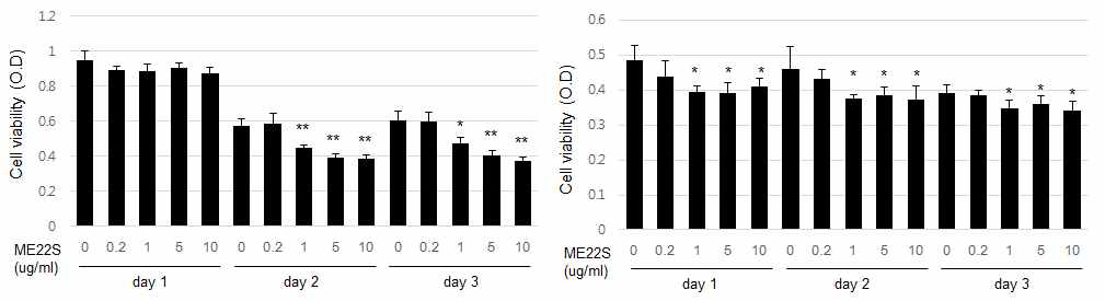 두경부암 HN3와 SNU899 두세포주에서 ME22S 처리시 세포사멸을 MTT assay 로 확인 함. (좌)HN3세포, (우)SNU899세포
