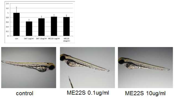 in vivo zebrafish model을 이용하여 ME22S 대한 독성 검사 시행. ME22S를 zebrafish의 embryo에 처리하여 embryo의 hatching rate, organogenesis, development 등을 확인하여 embryotoxicity를 확인함
