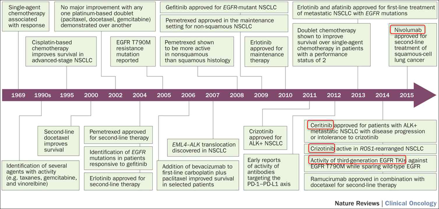 Timeline depicting the historical milestones in the development of therapies for NSCLC