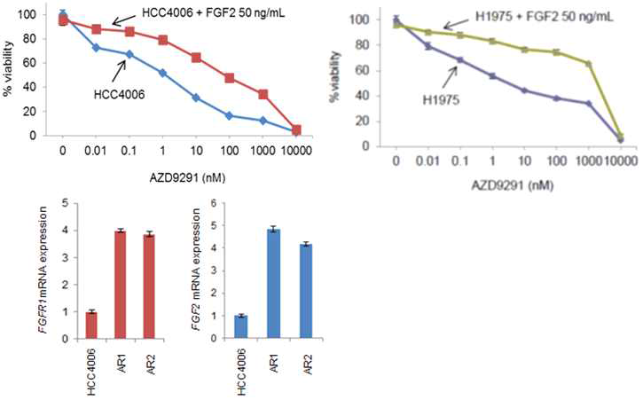 HCC4006과 HCC4006AR1/AR2에서 FGFR1과 FGF2발현 변화비교 (왼쪽)및 FGF2의 내성유도여부 확인 (오른쪽).qPCR을 통해 내성이 획득된 이후의 FGFR1, FGF2 발현변화 확인 및 cell proliferation assay를 통해, FGF2가 AZD9291에 대하여 내성을 유도함을 확인