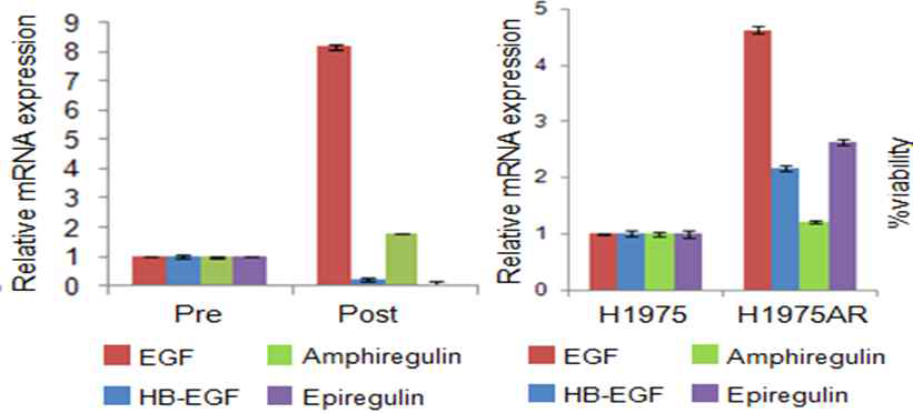 환자샘플 치료 전후(왼쪽)와, 세포주에서(오른쪽), qPCR assay를 통해 EGFR ligand 발현 비교