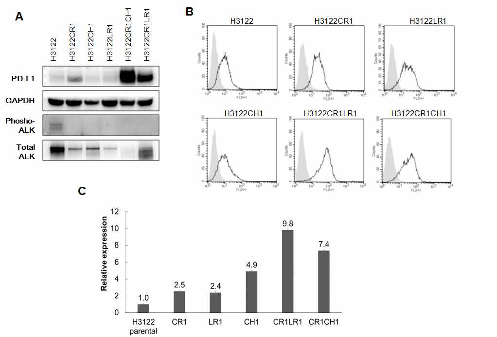 PD-L1 protein level을 H3122와 H3122-내성세포주(단독약제 또는 두 가지 약제)에서 (A) Western blot 과 (B) FACS analysis로 확인. (C) PD-L1 mRNA levels을 비교
