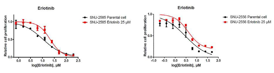 Erlotinib 내성유도된 SNU-2556, SNU-2585 세포주의 항암제 반응성 검사 결과