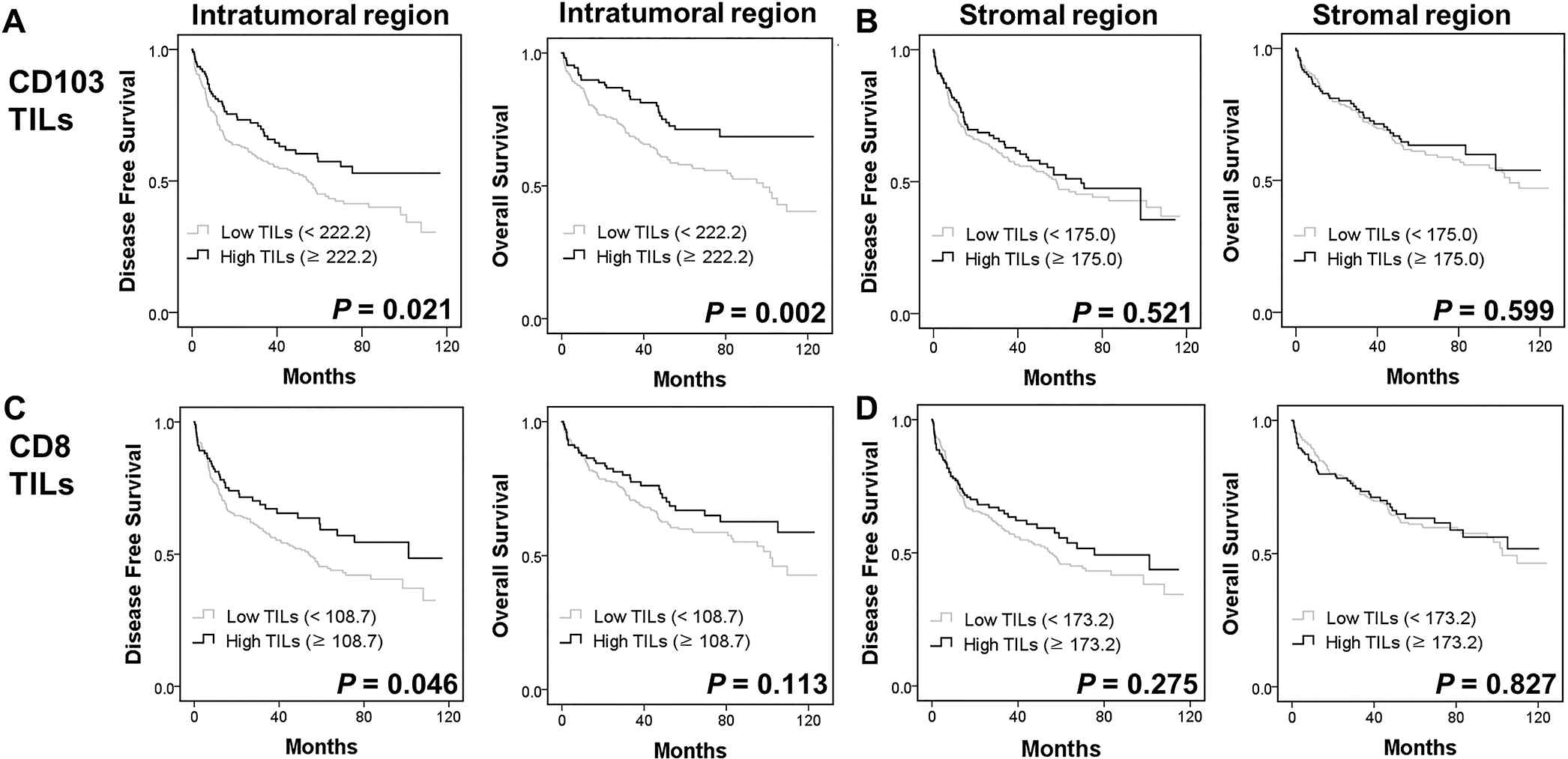 Kaplan-Meier plots using the log rank test for disease-free survival (DFS) and overall survival (OS) in patients with pulmonary squamous cell carcinoma (n = 378) according to intratumoral and stromal CD103+ (A, B), and CD8+ TIL numbers (C, D)
