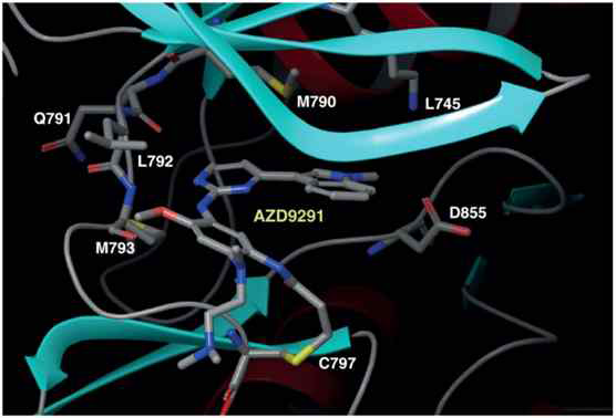 AZD9291과 EGFR ATP 결합 부위의 3차원 구조. AZD9291과 EGFR의 C797 아미노산이 공유결합을 이뤄 약제 효과를 나타냄