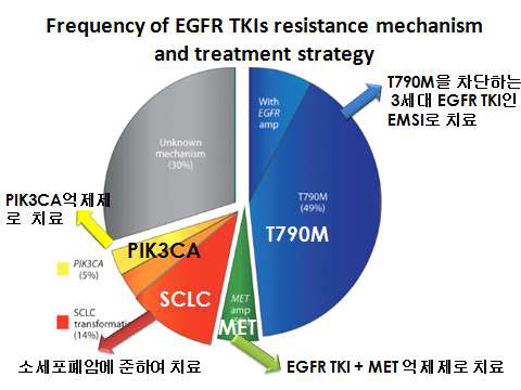 EGFR TKI 내성 기전 사례에서 살펴본 내성기전과 후속 치료 전략 수립 사례- 내성기전을 알면 최적의 후속 치료 전략을 세울수 있음을 보여줌