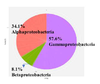 Class level in proteobacteria