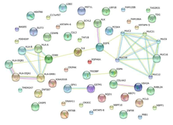 편평상피세포 폐암과의 연관성을 보인 후보유전자들에 대한 유전자 간의 네트워크 분석 (Homo sapiens)