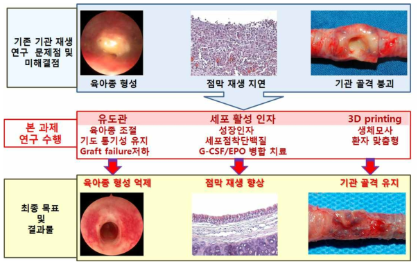 본 연구의 개요