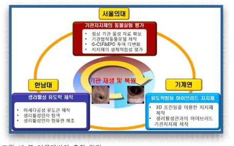 본 연구개발의 추진 전략