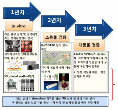 연구개발 추진 체계