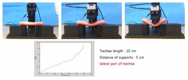 중대동물, 개를 이용한 기관 물성 측정 (Bending-Lateral)