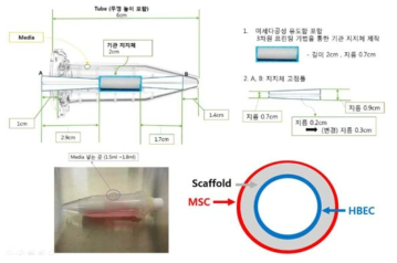 Bioreator를 활용한 기관지지체 내 세포 도말에 관한 모식도