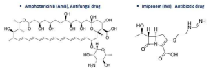 AmB와 IMI의 구조식