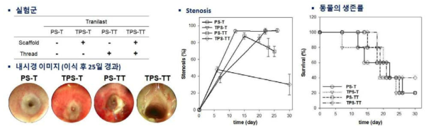 Tranilast가 포접된 3차원 기관 지지체와 Tranilast가 포접된 봉합사를 이용한 육아조직 형성 억제 평가 및 동물의 생존률