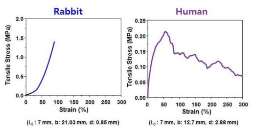 동물 및 인체 기관 응력-신장률 곡선 (시료, 튜브 형태)