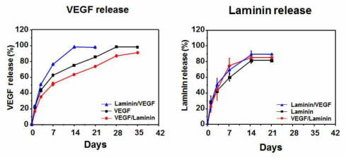 생리활성물질의 도입 순서에 따른 VEGF 및 Laminin의 방출거동