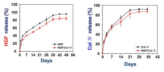 기관재생유도관에 탑재된 생리활성물질 (HGF와 Collagen IV)의 방출거동