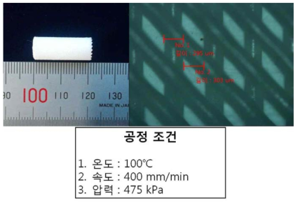 300um 크기의 노즐, 스트랜드 간 간격이 1:1인 기관지지체와 조건