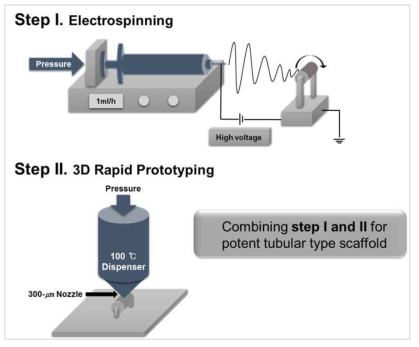 전기방사법과 3D 프린팅 기법을 이용한 하이브리드 도관형 지지체의 개발