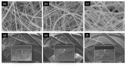 도관형 나노섬유 구조체와 도관형 하이브리드 스캐폴드의 주사 전자현미경 사진