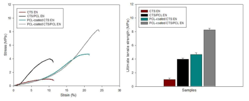 각 대조군 별 최대 인장강도 측정 값. Strain-stress curves (왼쪽), 최대인장강도 측정 그래프(오른쪽)