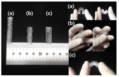 3D bio-printing machine을 통해 구현한 유연성과 방향성을 가지는 지지체의 예