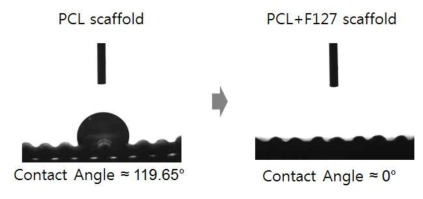 PCL 스캐폴드와 PCL+F127 스캐폴드의 접촉각 측정