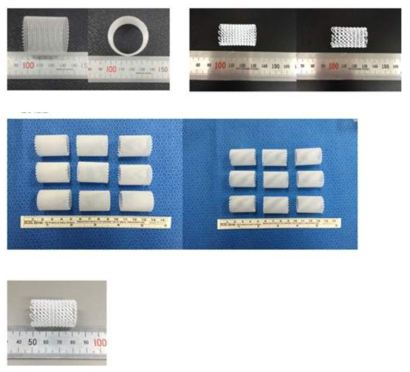 3D printing을 이용한 다양한 형태의 도관 제작(중대동물용)