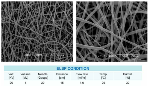 전기방사법을 이용해 제작된 PCL 유도막 및 전기방사 조건