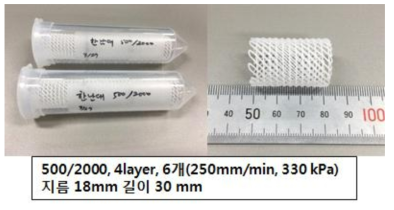 2세부와 공동 작업을 위한 대동물용 3D 프린팅/미세다 공성멤브레인 복합체 지지체를 위한 3D 프린팅 결과물