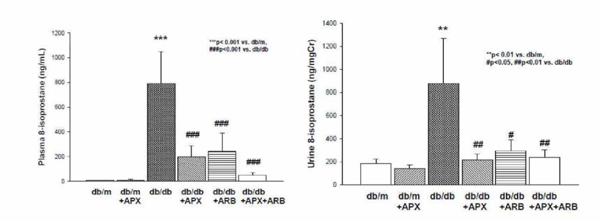 실험동물에서 약제 사용 3개월 후 혈청 및 소변의 isoprostane 농도